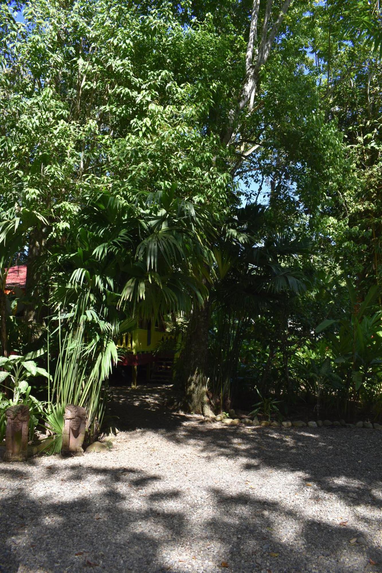 Villa El Jardin De Playa Negra Puerto Viejo de Talamanca Exterior foto