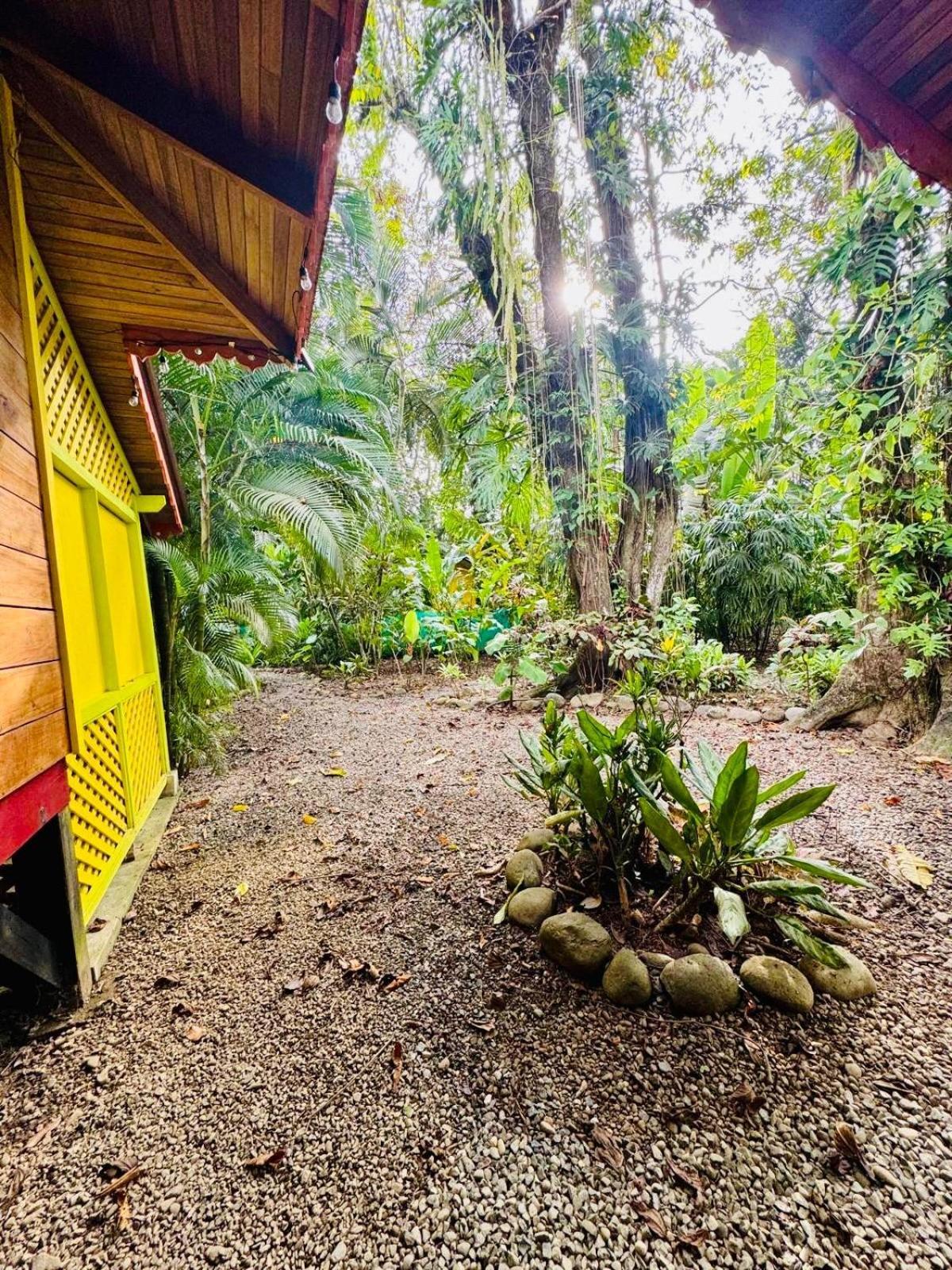 Villa El Jardin De Playa Negra Puerto Viejo de Talamanca Exterior foto