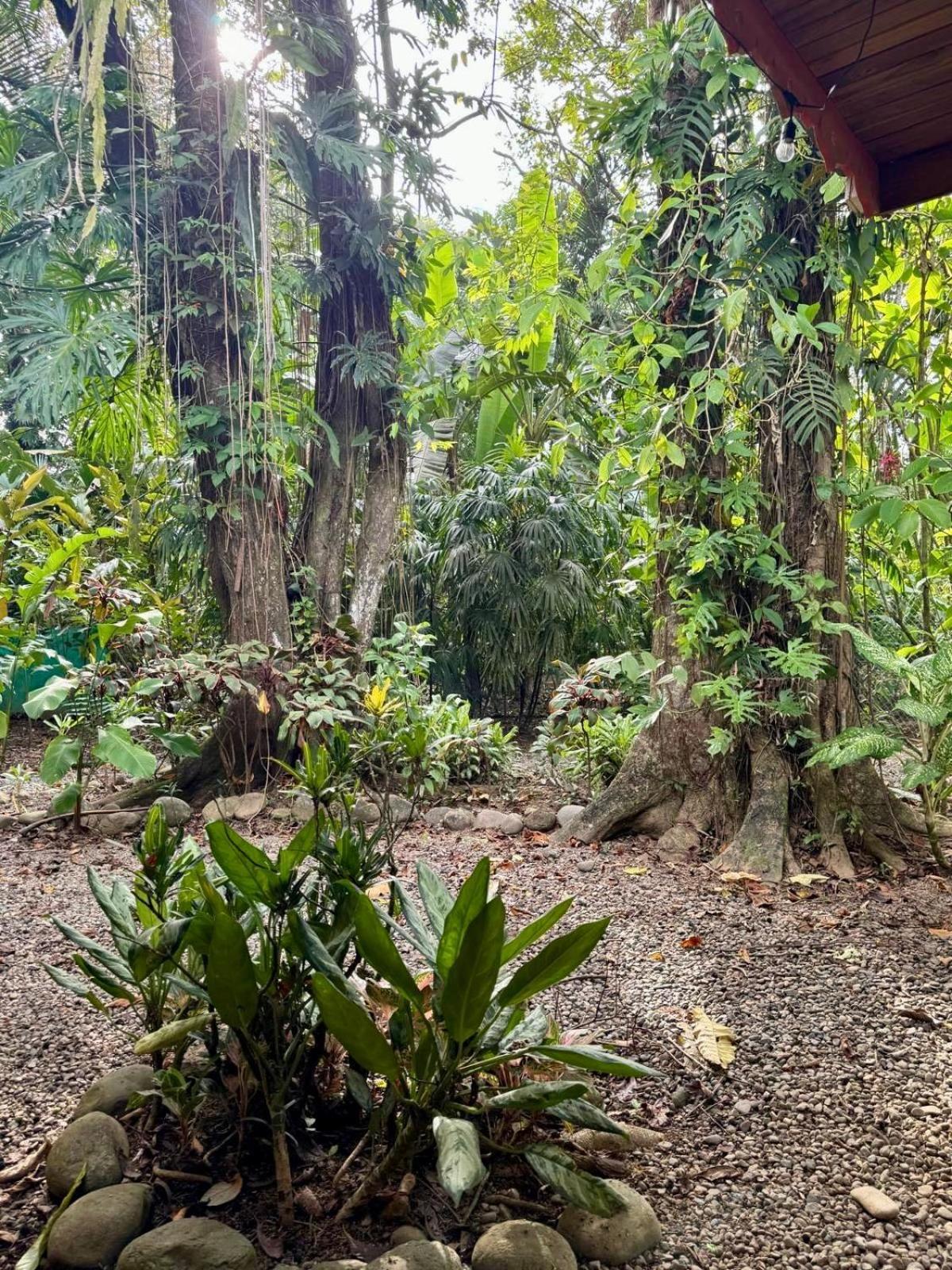 Villa El Jardin De Playa Negra Puerto Viejo de Talamanca Exterior foto