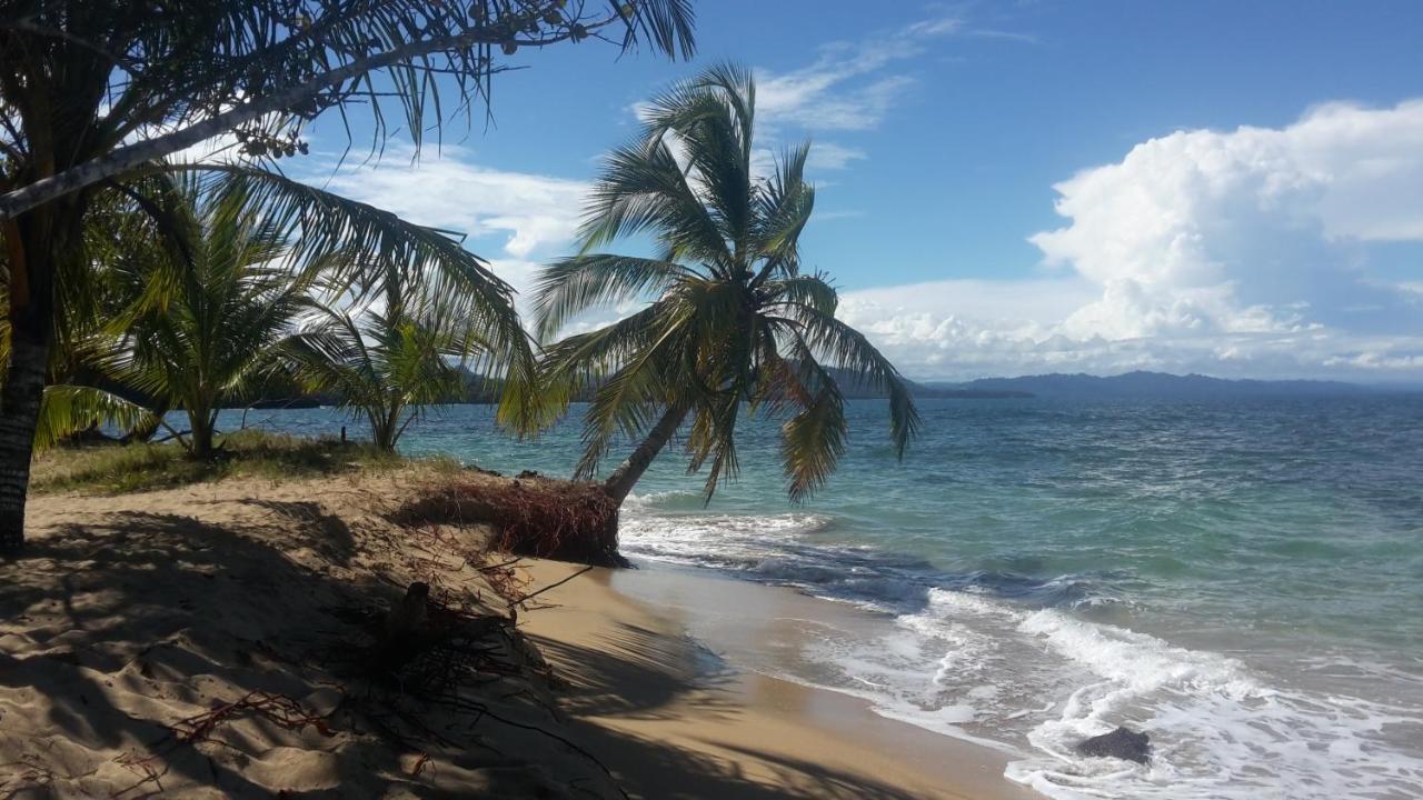 Villa El Jardin De Playa Negra Puerto Viejo de Talamanca Exterior foto