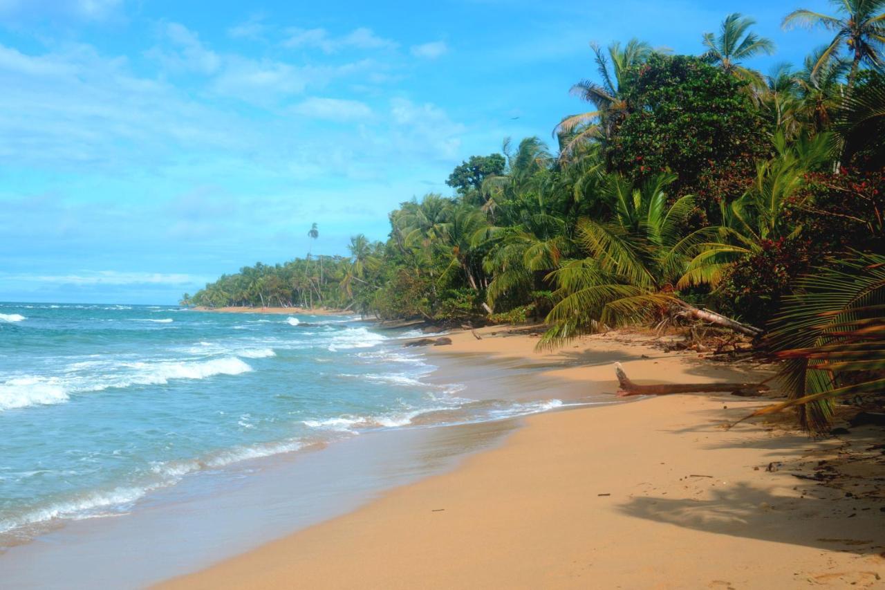Villa El Jardin De Playa Negra Puerto Viejo de Talamanca Exterior foto